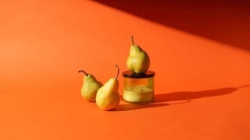 Wczasy pod gruszą – dla kogo i na jakich zasadach?