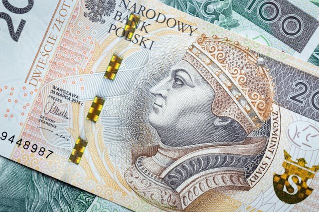 Ryczałt od przychodów ewidencjonowanych – jakie są dostępne stawki ryczałtu?