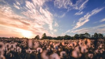 Jak budować przewagę gospodarczą Polski? Już 13 października rusza Horizon Business Impact