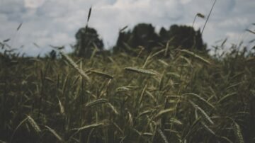 Rosyjskie firmy duszą się pod ciężarem kosztów. „Gospodarka przechodzi w stan cichego rozkładu”